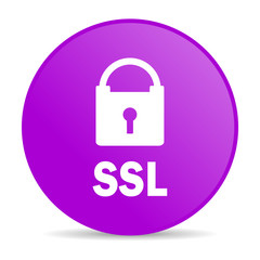 ssl web icon