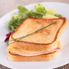 sandwich and salad