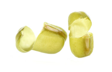 Bean Sprouts on White Background
