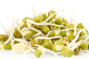 Bean Sprouts on White Background