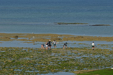 pêcheurs à pieds