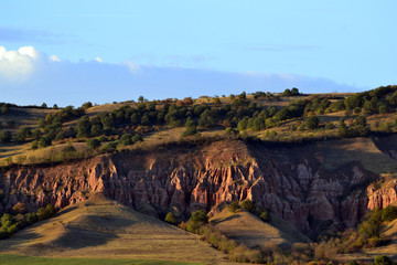 Red raven from Romania