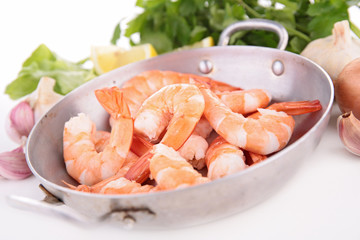 shrimp