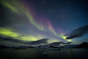 Aurores boréales - Paysage arctique