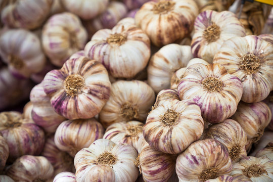 Garlic bunches in a market
