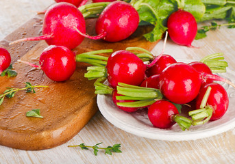 Radishes on  a  wooden board.