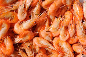 Shrimps