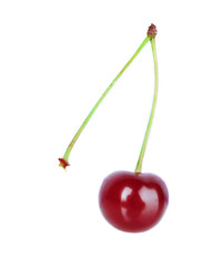 Sweet cherry on light background