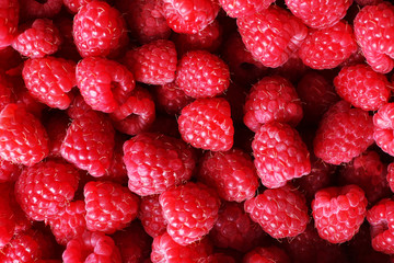 Ripe sweet raspberries close-up