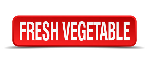 fresh vegetable red 3d square button on white background