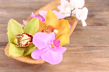 Tropical orchid flowers in bowl on wooden background