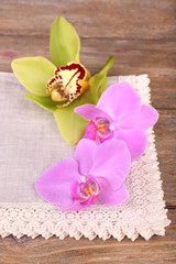 Pink tropical orchid flowers on wooden background