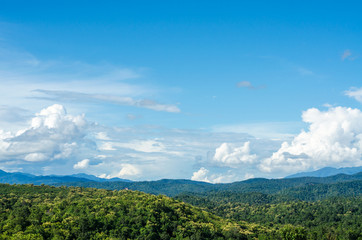 Natural landscape of trees and mountains on a clear day