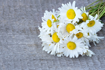 Obraz premium Bouquet of beautiful camomiles on a wooden board