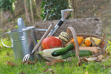 panier de courges dans décor rustique