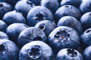 Fresh ripe bilberry close up