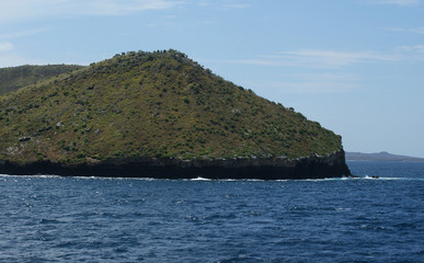 Fototapeta na wymiar îles des Galapagos