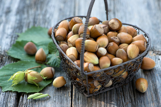 Korb mit Haseln&uuml;ssen