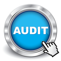 AUDIT ICON