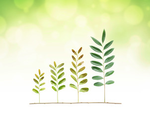 business with csr practice