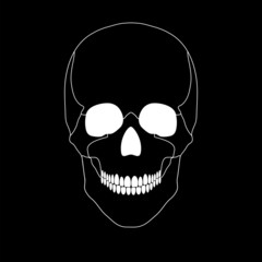 white skull on a black background