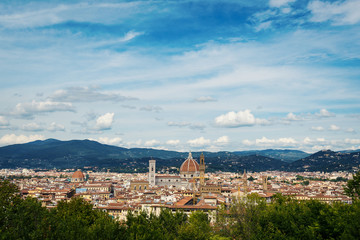 Fototapeta na wymiar Panoramic view of the city from Forte Belvedere. Florence, Italy