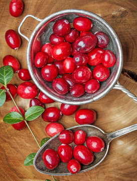 fresh cranberries on a kitchen table