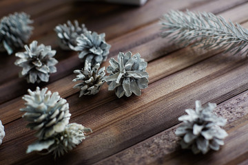 Christmas woods