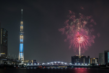 Fototapeta premium Festiwal sztucznych ogni na rzece Sumida