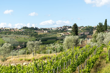 Chianti, Tuscany