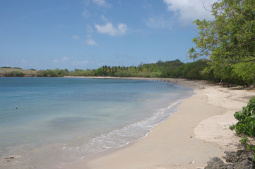 Obraz premium Plage de Tartane Martinique 01