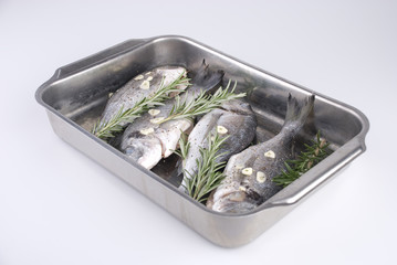 dorade goldbrasse gegrillt 2