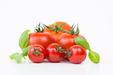 sechs tomaten mit basilikum