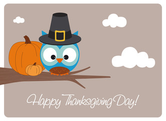 thanksgiving day, owl dressed as pilgrim with two pumpkins
