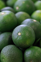 Sudachi; green small Japanese citrus