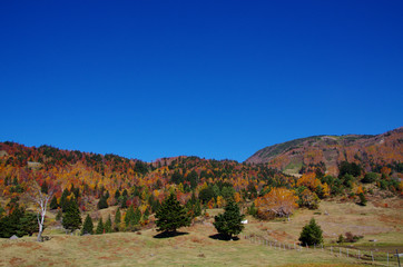 秋の風景　山田牧場