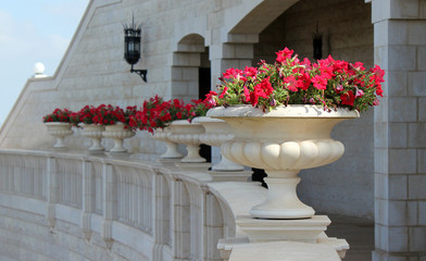 vase, red flowers