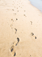 レギャンビーチの足跡