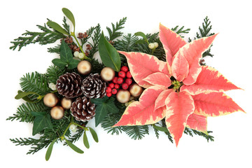 Fototapeta premium Poinsettia Decoration