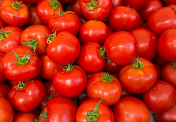 red tomatoes background.  Group of tomatoes