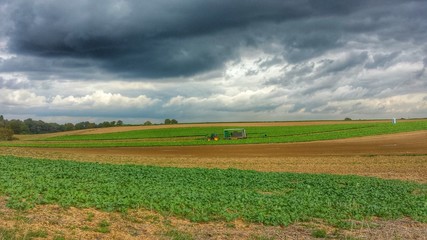 Dramatischer Himmel über den Feldern in der Pfalz © pb press