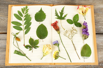 Dry up plants on notebook on wooden background