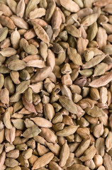 spices cardamom