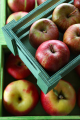 Juicy apples in boxes, close-up