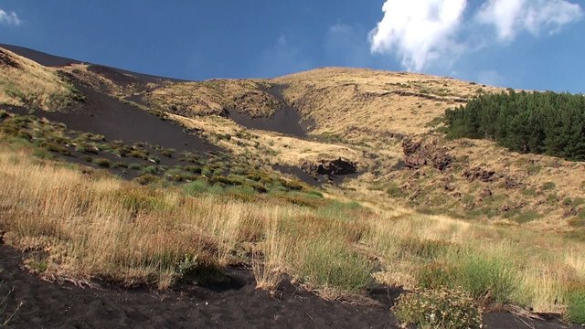 Plant species diversity at the foot of Mount Etna. Sicily