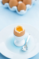Soft boiled egg in eggcup with toast on table