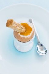 Soft boiled egg in eggcup with toast on table