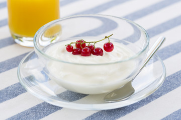 Bowl of fresh Yogurt