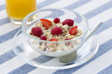 Bowl of fresh Yogurt