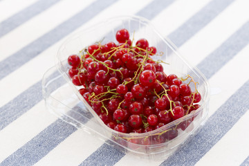 Container of fresh red currants
